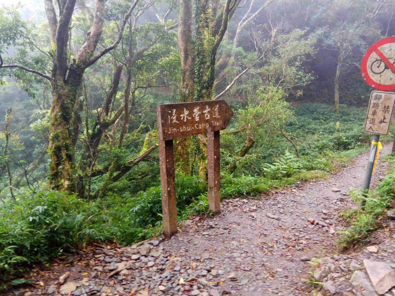 綠生活旅行社有限公司