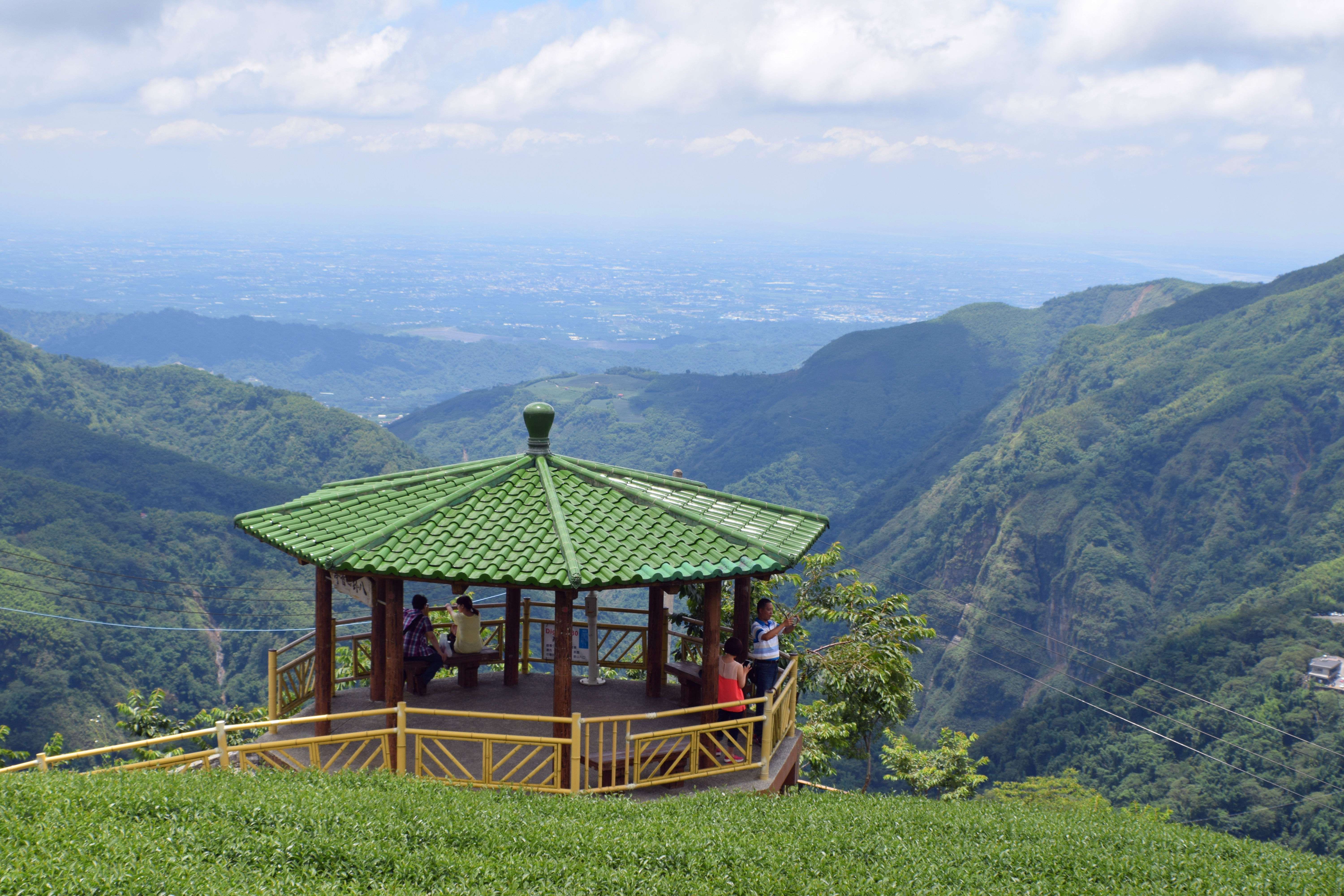 山海大觀－八卦茶園、銀杏森林步道探尋順訪觀海好望角、母子隧道懷古行