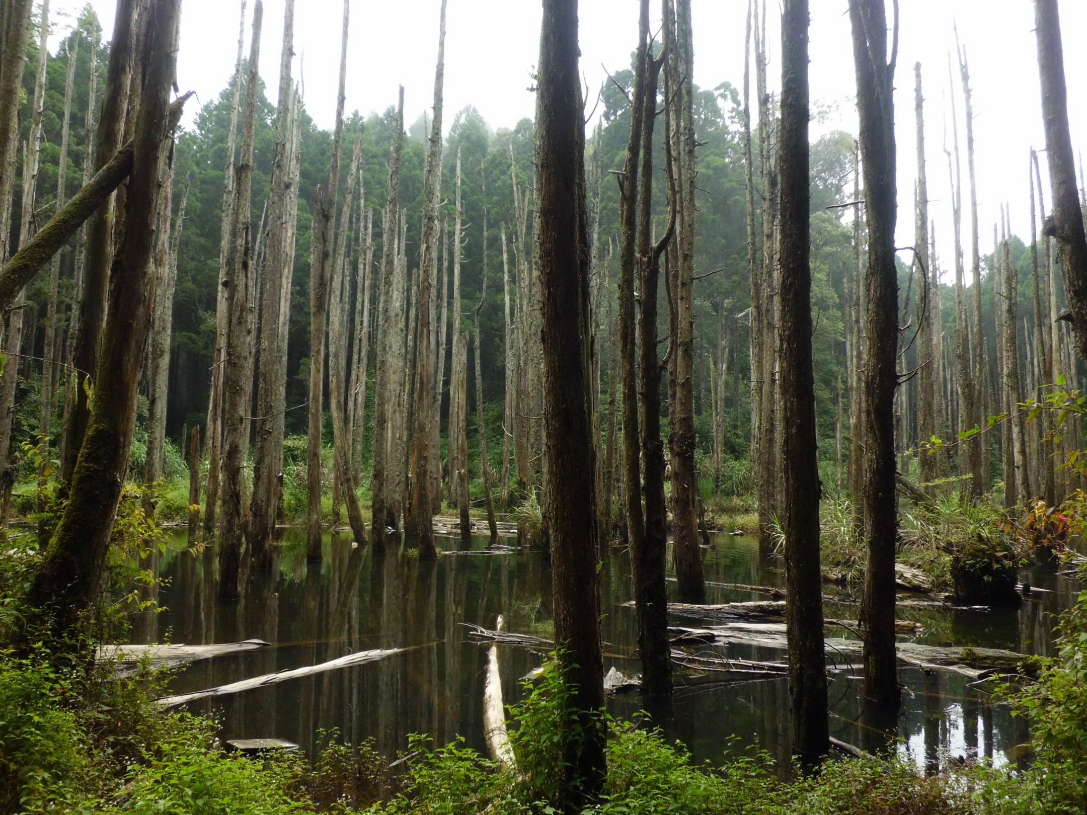 部落款款行~忘憂山林達娜伊谷二日遊