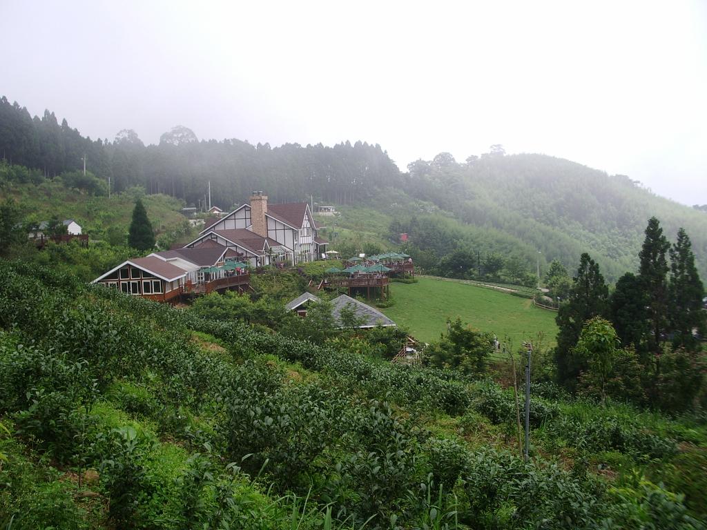 【2Ｅ】★★★ 漫步在雲端～【觀霧+山上人家】仙境迎新年●本行程為2017年得獎【觀光局生態旅遊】優質遊程！●歡迎家族團體包團！