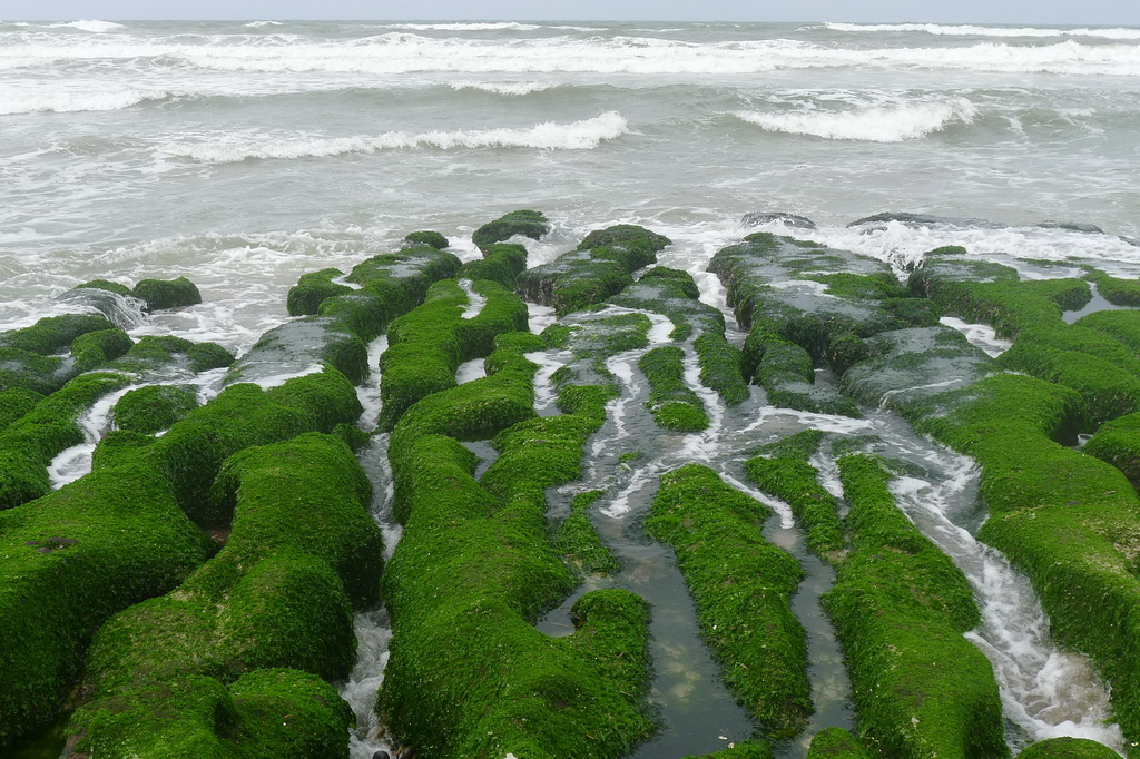 ★尋訪～水中綠寶石【老梅綠石槽+新秘境《不能說的秘密》周杰倫電影拍片場景】生態之旅《●歡迎公司團體包團》