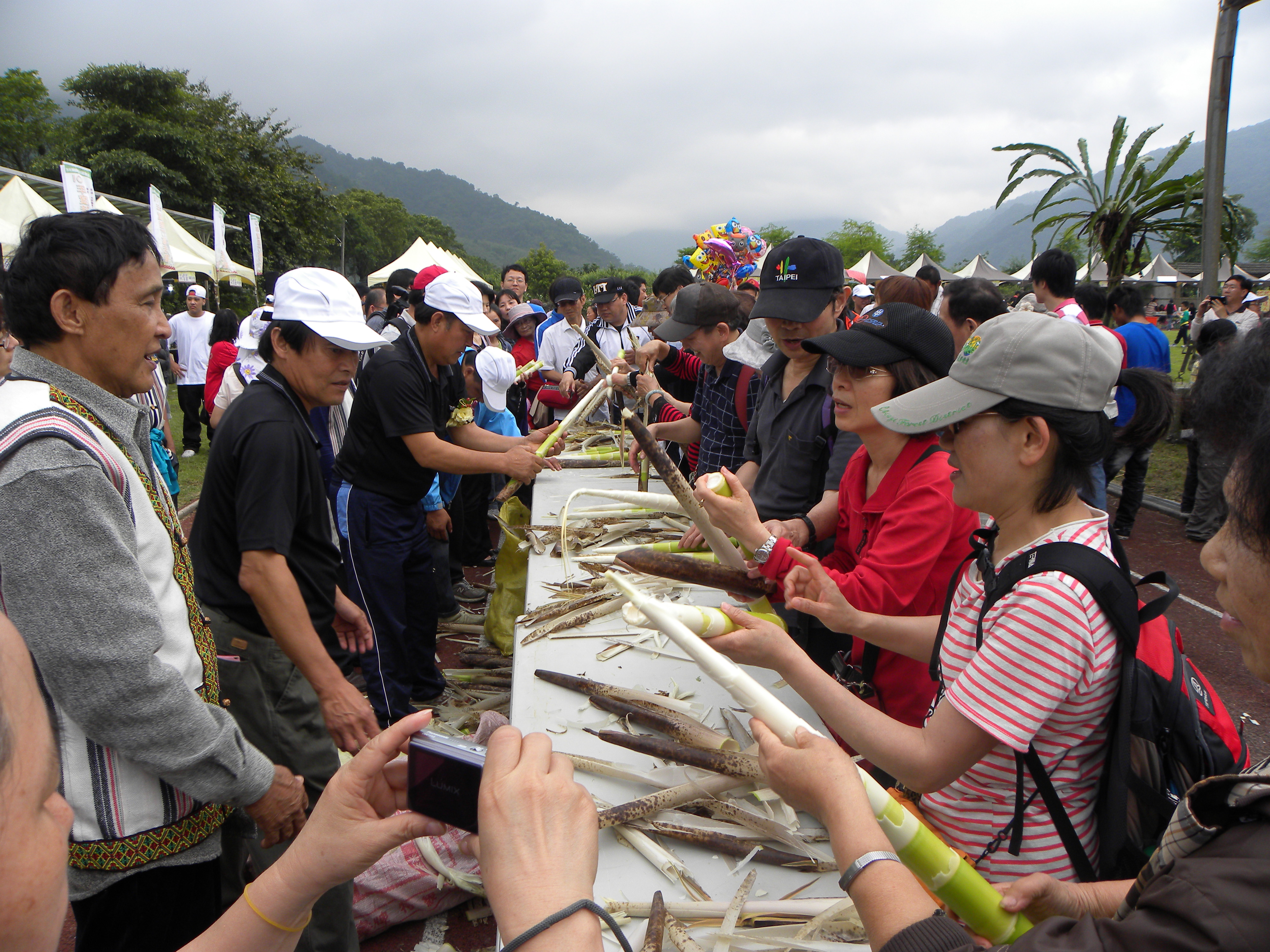 ★悠遊部落趣～【人間茂安情 品味桂竹筍馨香】桂竹筍食農之旅，僅此一梯次您豈能錯過！『限額40人』報名要快唷!《●歡迎公司團體包團》